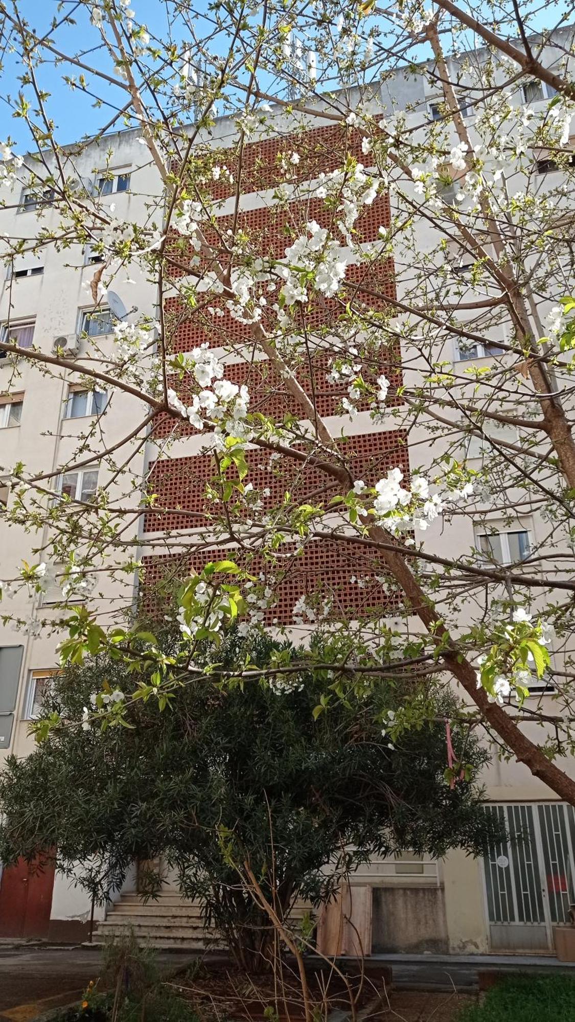 Appartement App Letta Sunset Pula Extérieur photo